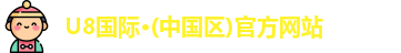 U8国际